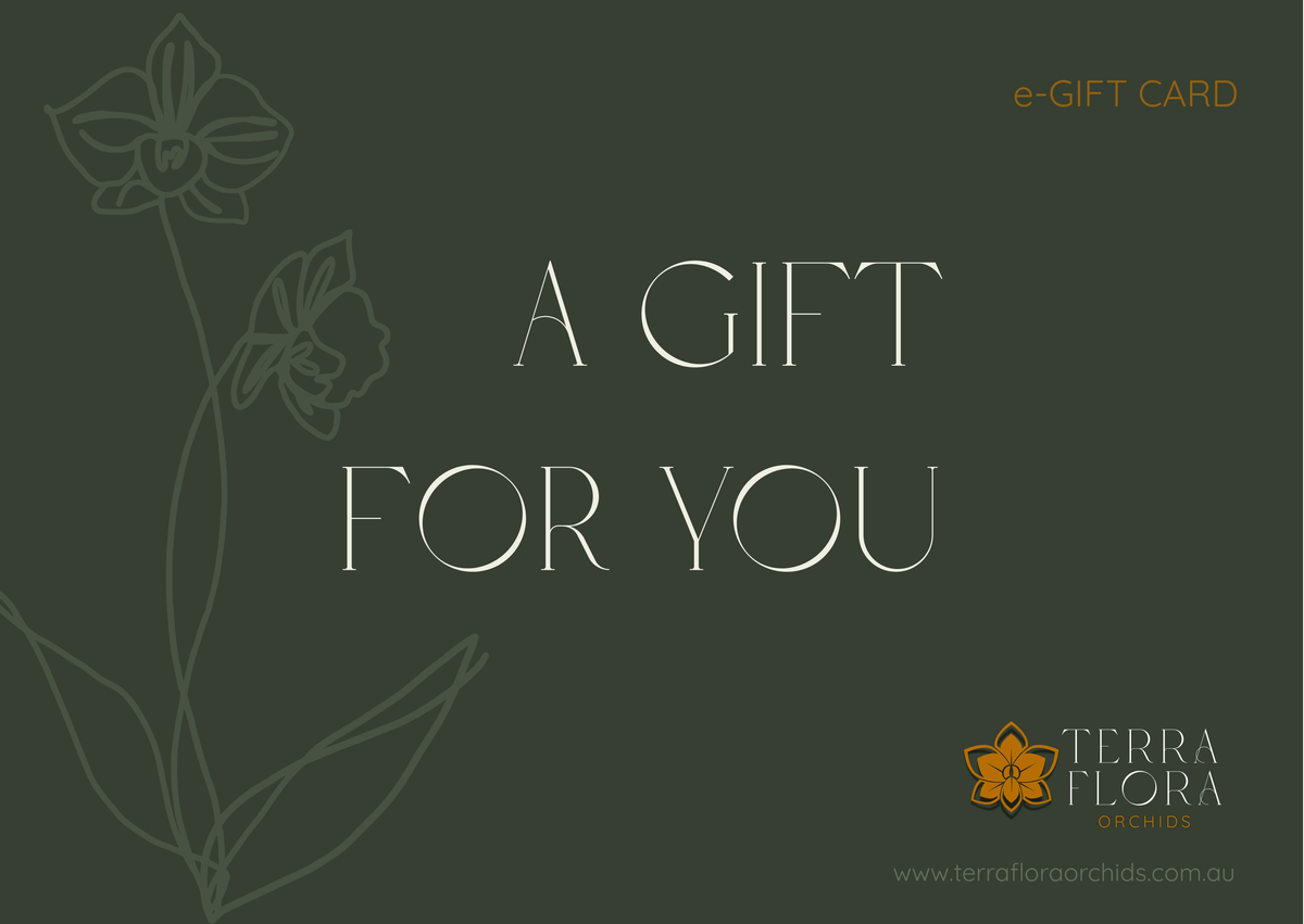Terra Flora Orchids - Gift Card
