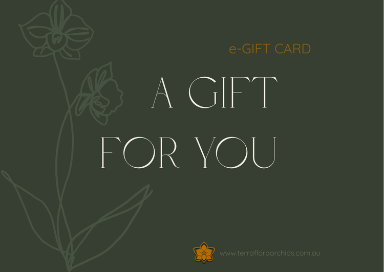 Gift Ideas