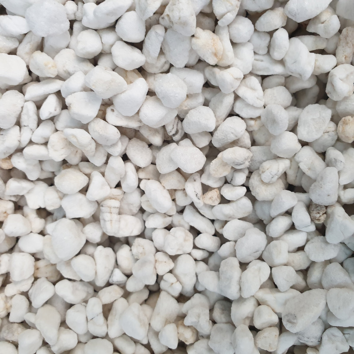 Premium Potting Media