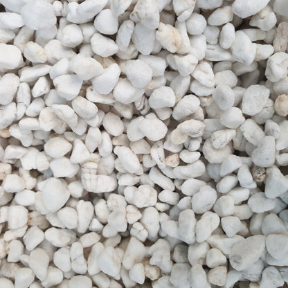 Premium Potting Media