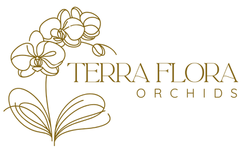 Terra Flora Orchids